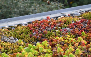 the cost of Thornton Rust green roof installation