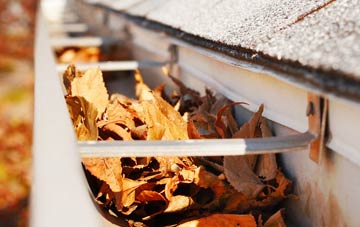 Thornton Rust gutter cleaning companies