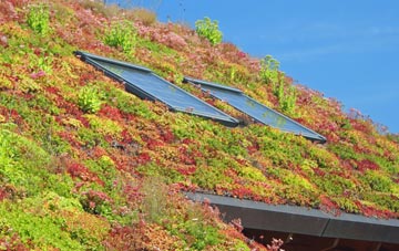 Thornton Rust living roof systems