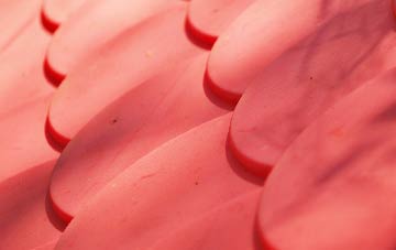 Thornton Rust plastic roof costs