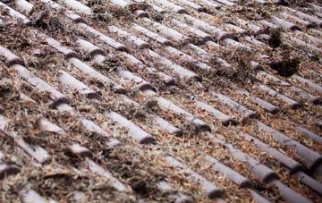 Thornton Rust roof cleaning companies