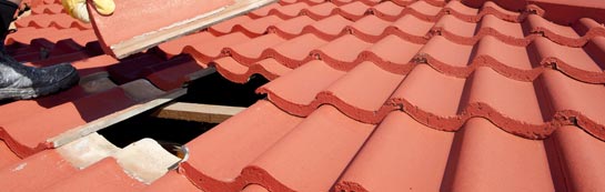compare Thornton Rust roof repair quotes