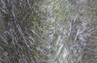 Thornton Rust fibreglass roof work