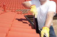 Thornton Rust roof cleaners