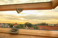 rated Thornton Rust roof window companies