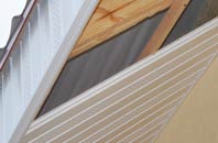 rated Thornton Rust soffit repair companies